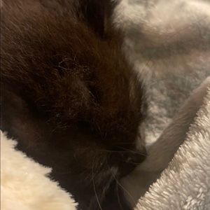 Meet your Posher, Hanna